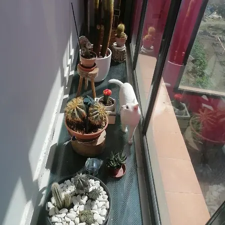 乡村民宿 Casa Ruiz 阿耶韦