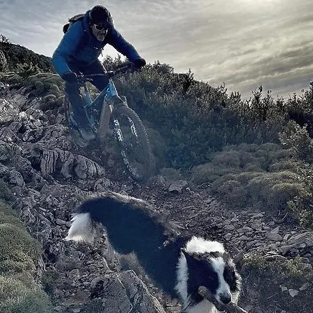 乡村民宿 Casa Ruiz *