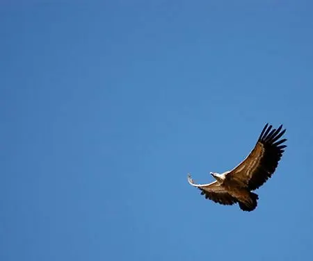 乡村民宿 Casa Ruiz