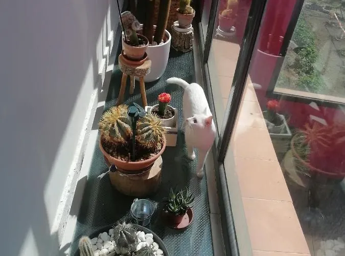 Casa de Campo Casa Ruiz Ayerbe