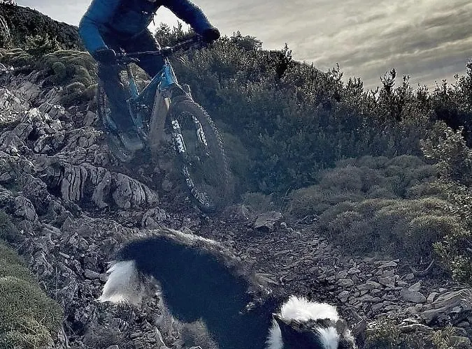 Casa de Campo Casa Ruiz *