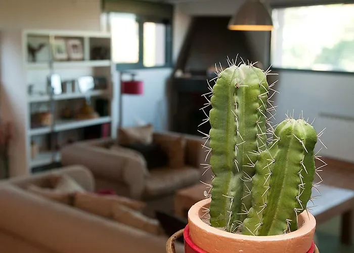 Casa Ruiz Casa de Campo Ayerbe