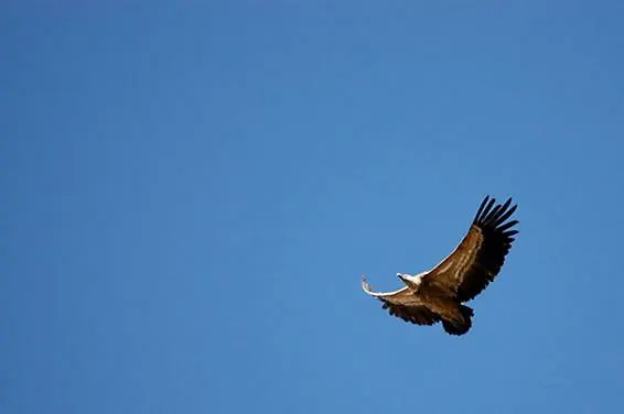 Casa de Campo Casa Ruiz